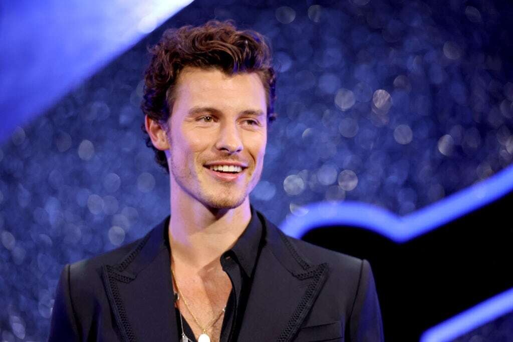 Shawn Mendes Discusses His Sexuality at Concert