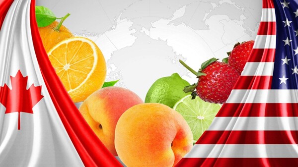 Trade Tensions Impacting Canadian Agriculture